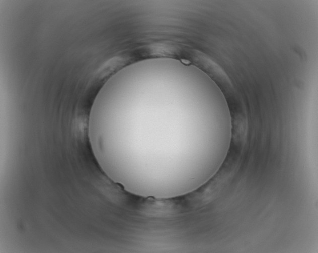 X0000115070329200911101308