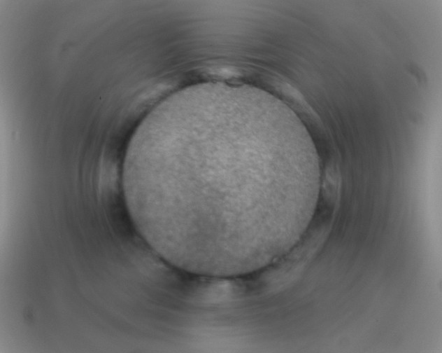 X0000115070330200911101308
