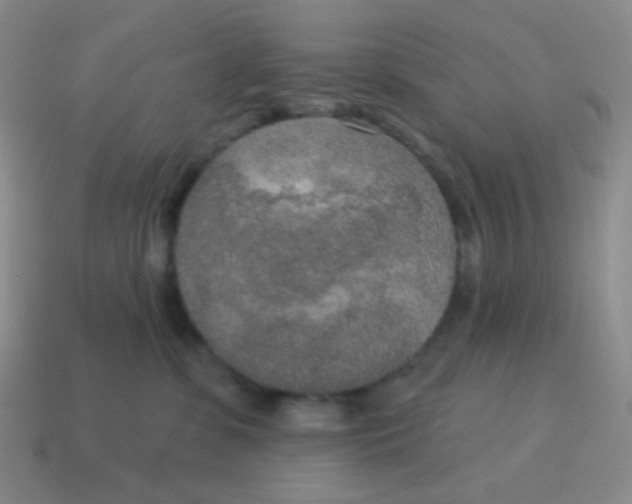 X0000115070331200911101308