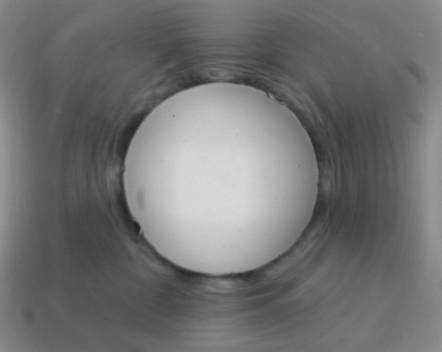 X0000115070332200911101308