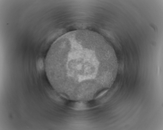 X0000115070335200911101308