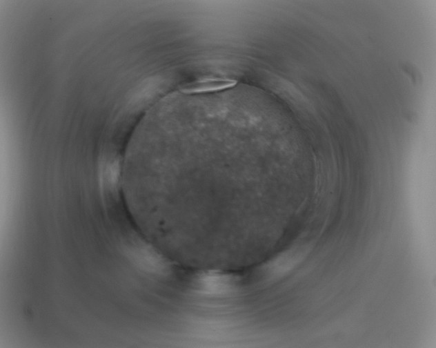 X0000115070336200911101308