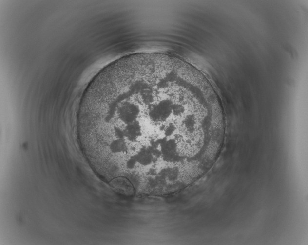 X0000115070337200911101307