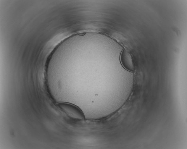 X0000115070338200911101307