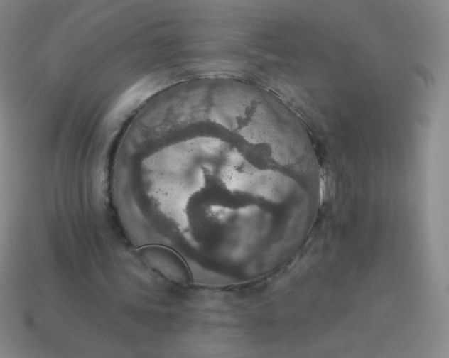 X0000115070339200911101307