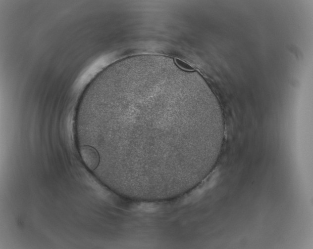 X0000115070341200911101307