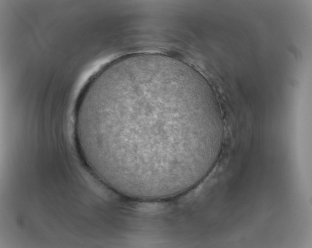 X0000115070342200911101307