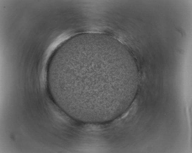 X0000115070343200911101307