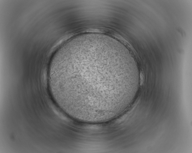 X0000115070349200911101307