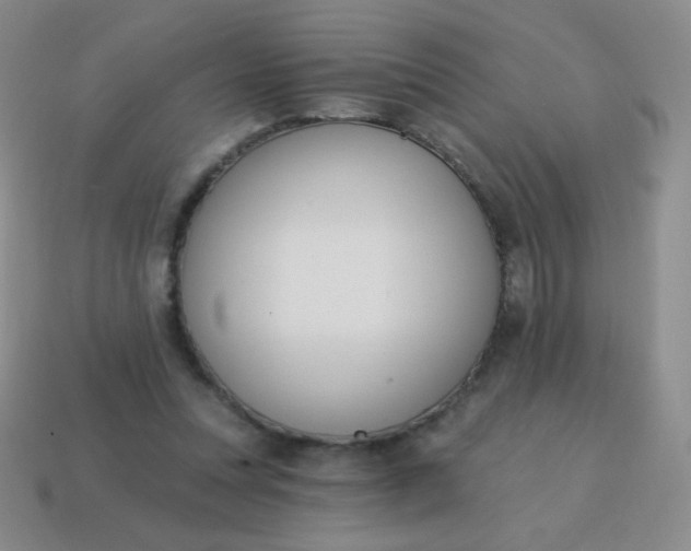 X0000115070351200911101307