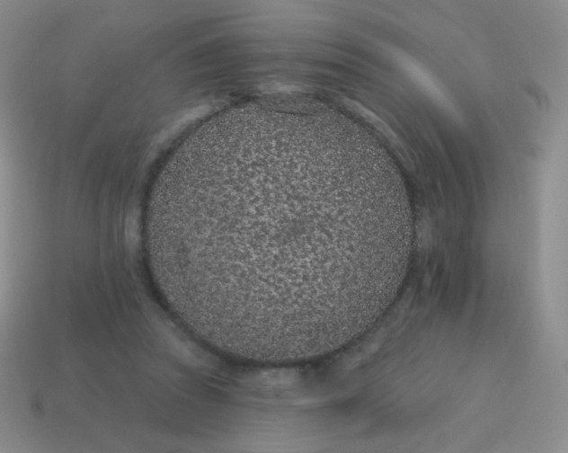 X0000115070353200911101307