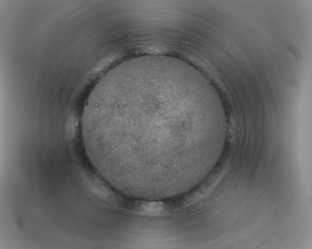 X0000115070355200911101307