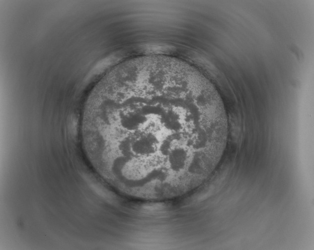 X0000115070357200911101307