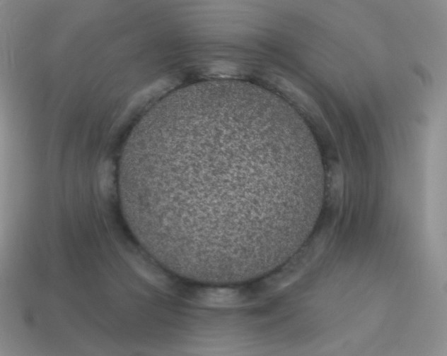 X0000115070361200911101307