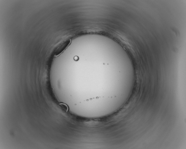 X0000115070362200911101307