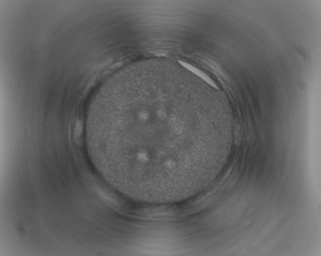 X0000115070365200911101307