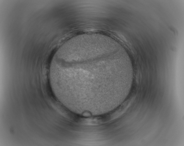 X0000115070366200911101308