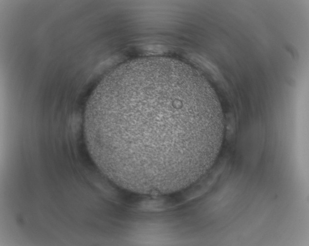 X0000115070369200911101308