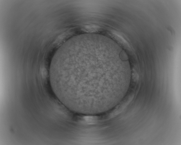 X0000115070371200911101308
