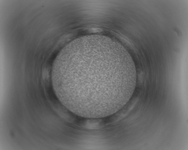 X0000115070373200911101308