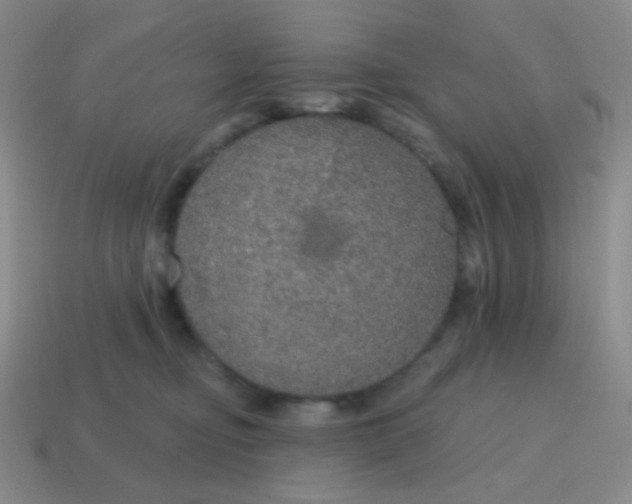 X0000115070374200911101308