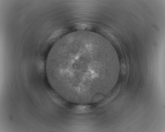 X0000115070375200911101308
