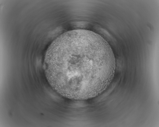 X0000115070377200911101308