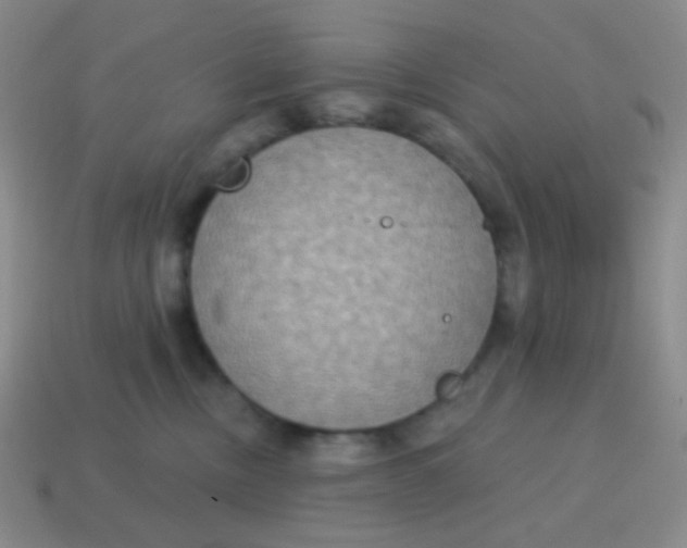 X0000115070378200911101308