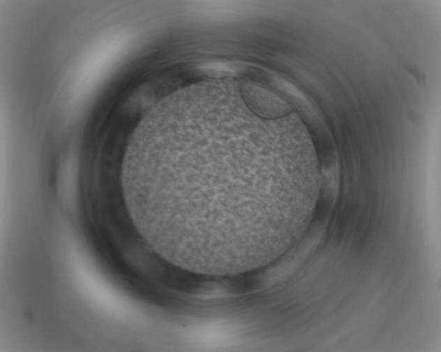 X0000115070381200911101308