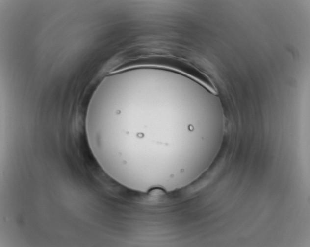 X0000115070382200911101308