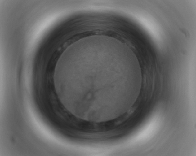 X0000115070383200911101308