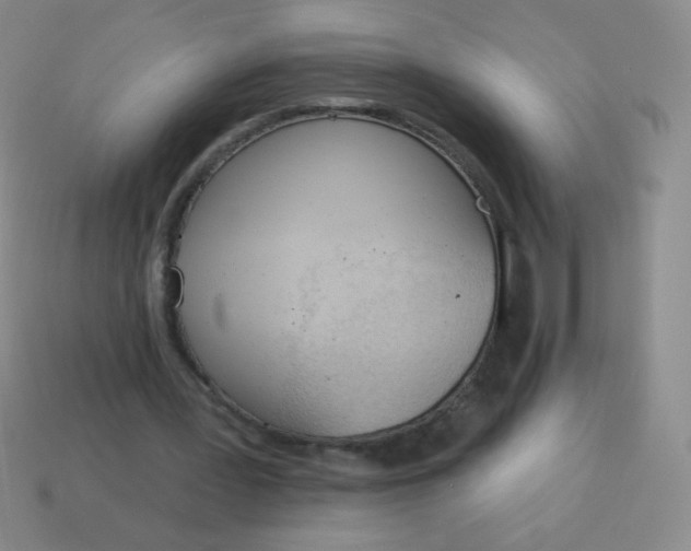 X0000115070387200911101307