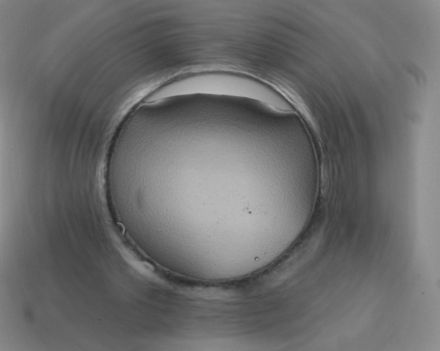X0000115070389200911101307