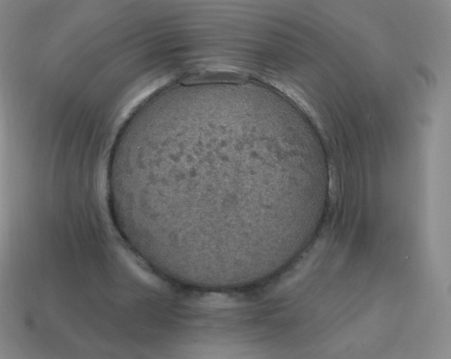 X0000115070390200911101307