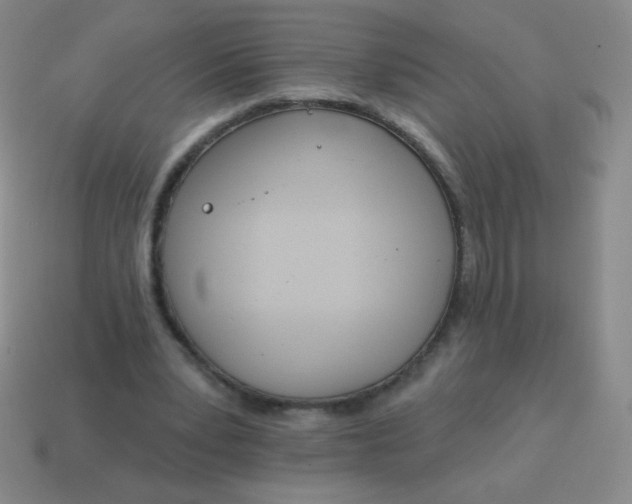 X0000115070391200911101307