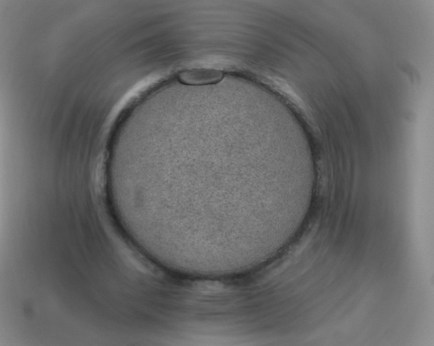 X0000115070392200911101307