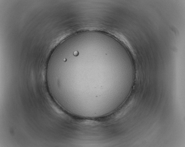 X0000115070393200911101307