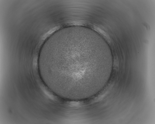 X0000115070394200911101307