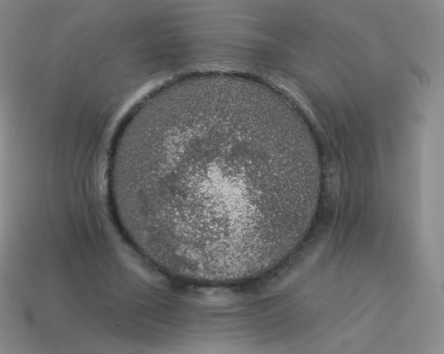 X0000115070395200911101307