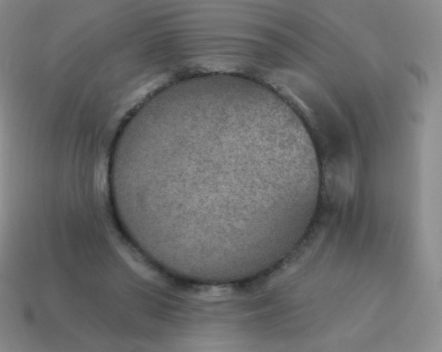 X0000115070398200911101307