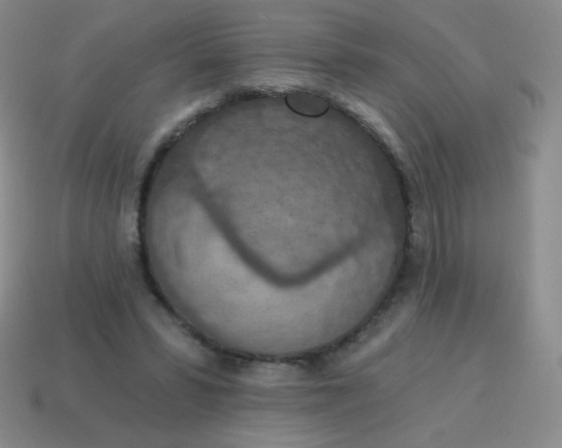 X0000115070399200911101307