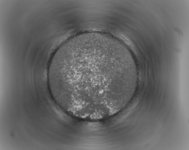 X0000115070401200911101307