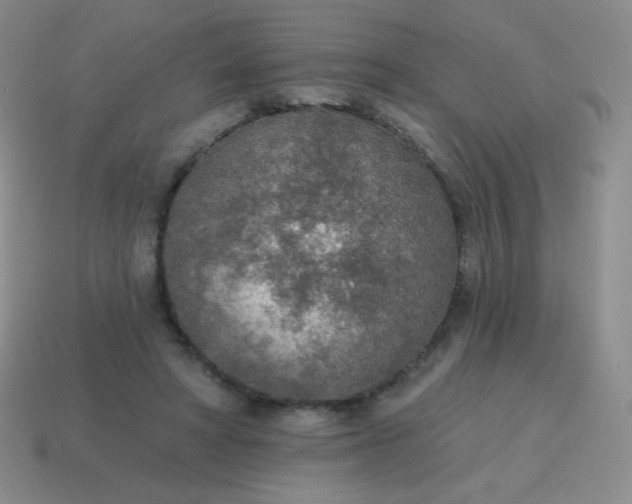 X0000115070402200911101307