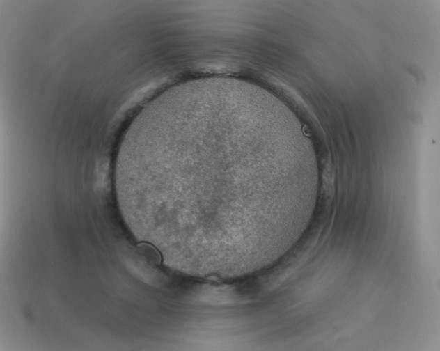 X0000115070403200911101307