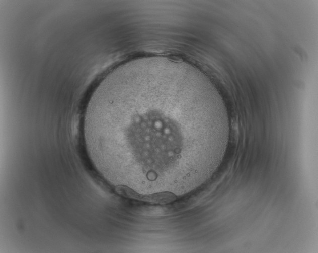 X0000115070404200911101307