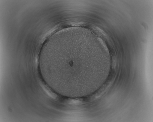 X0000115070405200911101307