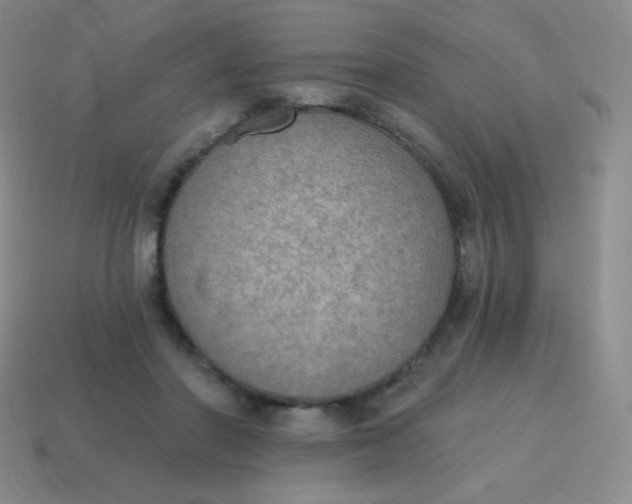 X0000115070406200911101307