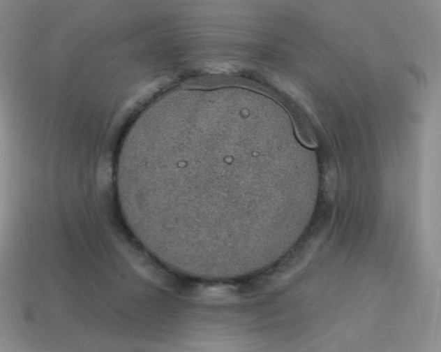 X0000115070407200911101307