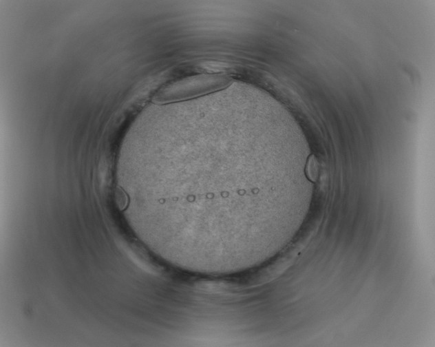 X0000115070408200911101307