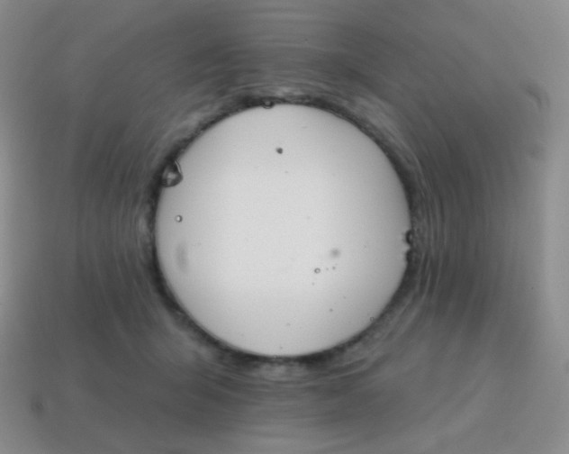 X0000115070415200911101307